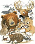 (image for) North American Wildlife